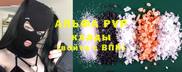 spice Верея